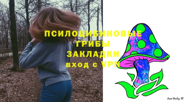индика Аркадак
