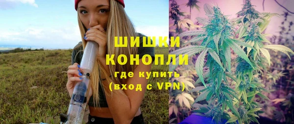 индика Аркадак