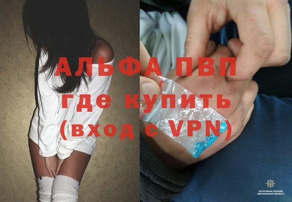 индика Аркадак