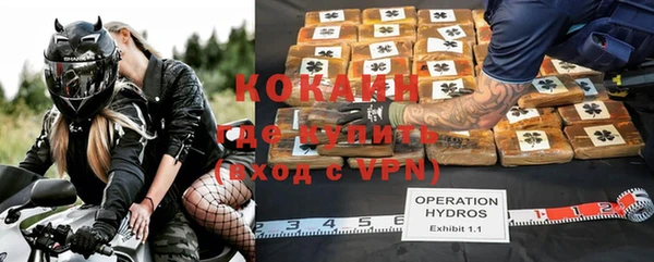 индика Аркадак