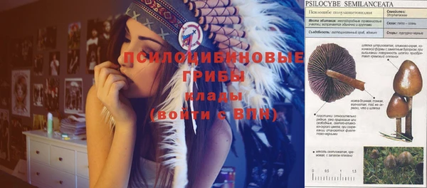 тгк Арсеньев