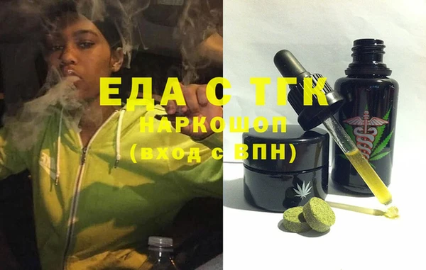 индика Аркадак