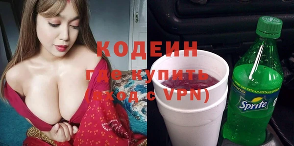 индика Аркадак